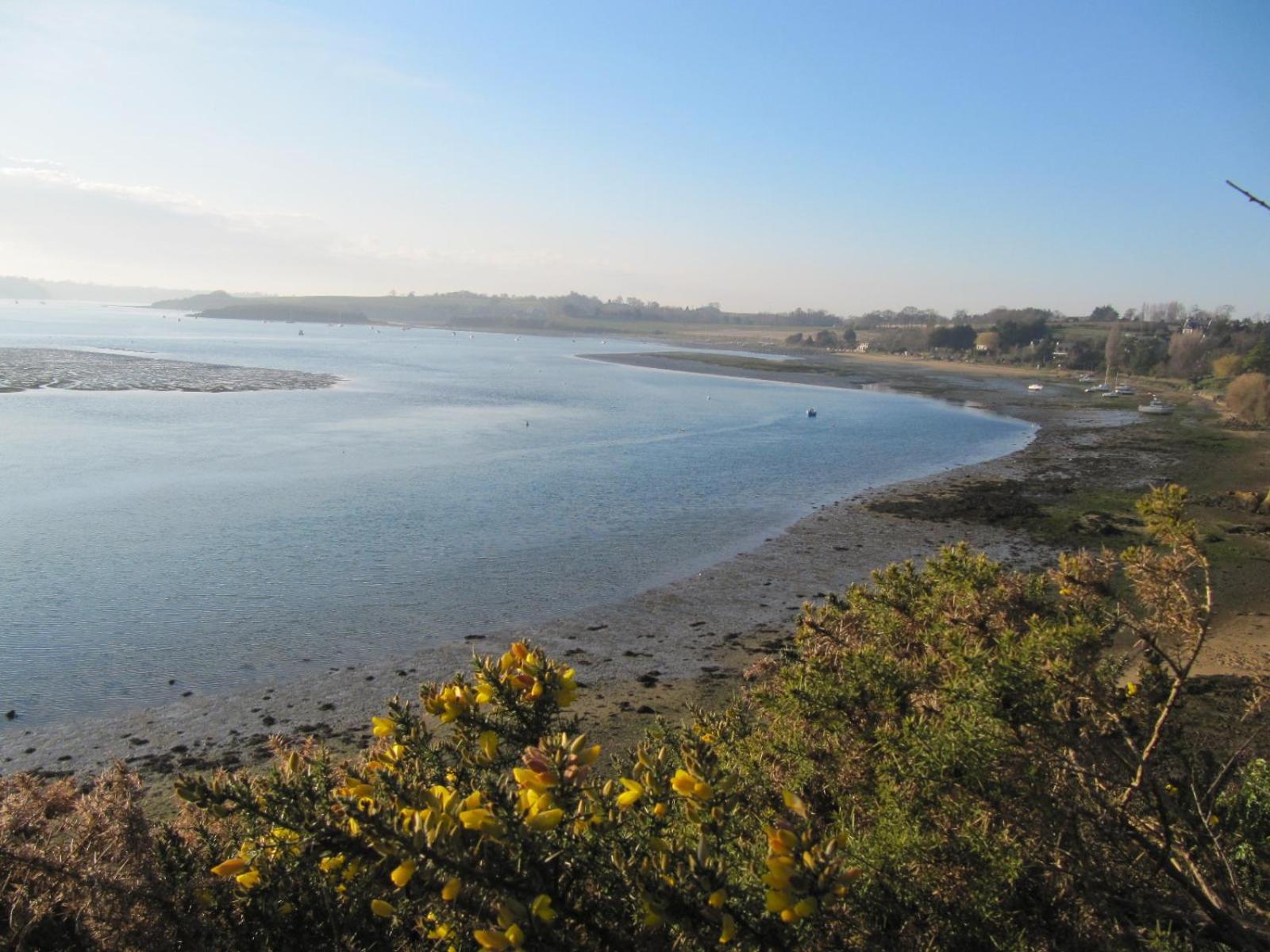 Les Cles Du Vallion, T2 Confort, Bord De Plage Et Paysages Saint-Jouan-des-Guérets Buitenkant foto